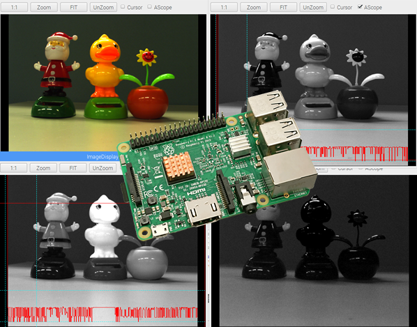 FIE for Raspberry Pi 処理画像